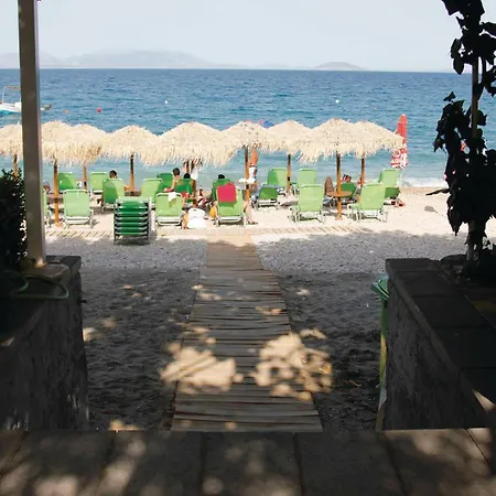 Amazing In Arkadias *