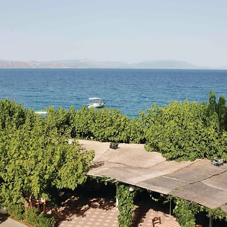 Amazing In Arkadias